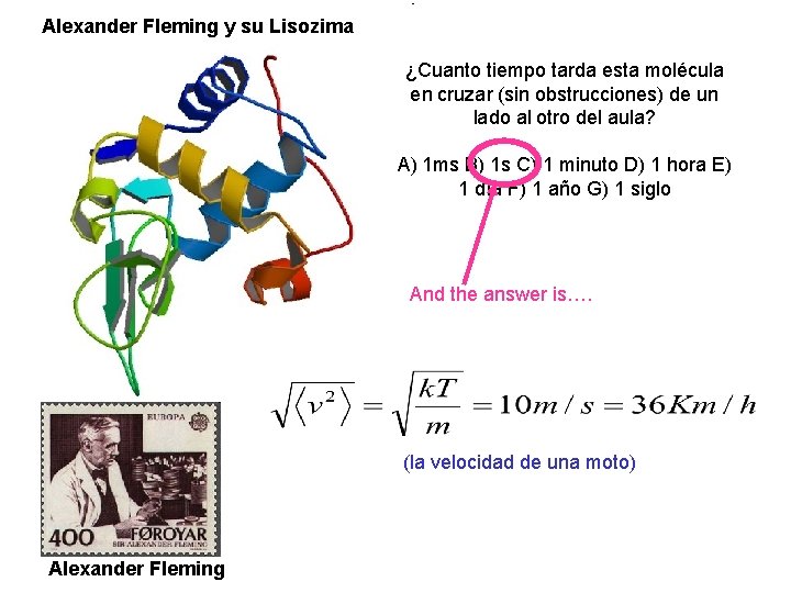 Alexander Fleming y su Lisozima ¿Cuanto tiempo tarda esta molécula en cruzar (sin obstrucciones)