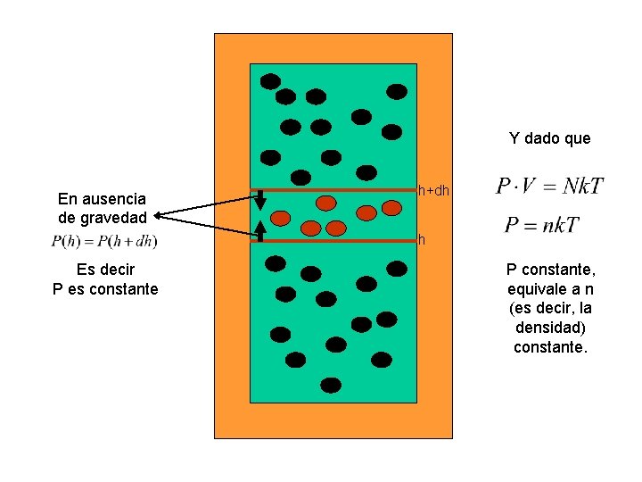 Y dado que En ausencia de gravedad h+dh h Es decir P es constante