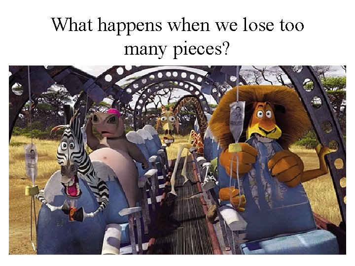 What happens when we lose too many pieces? 