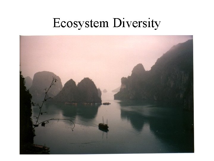 Ecosystem Diversity 