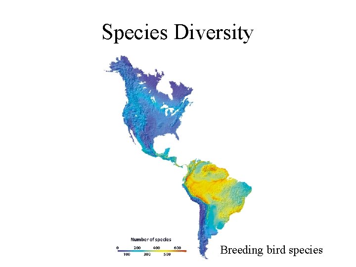 Species Diversity Breeding bird species 