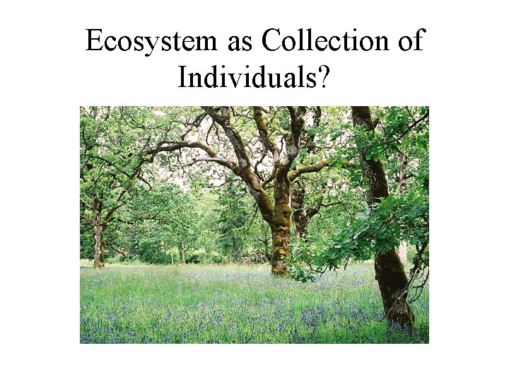 Ecosystem as Collection of Individuals? 
