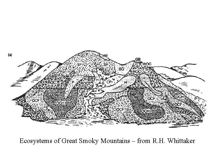 Ecosystems of Great Smoky Mountains – from R. H. Whittaker 