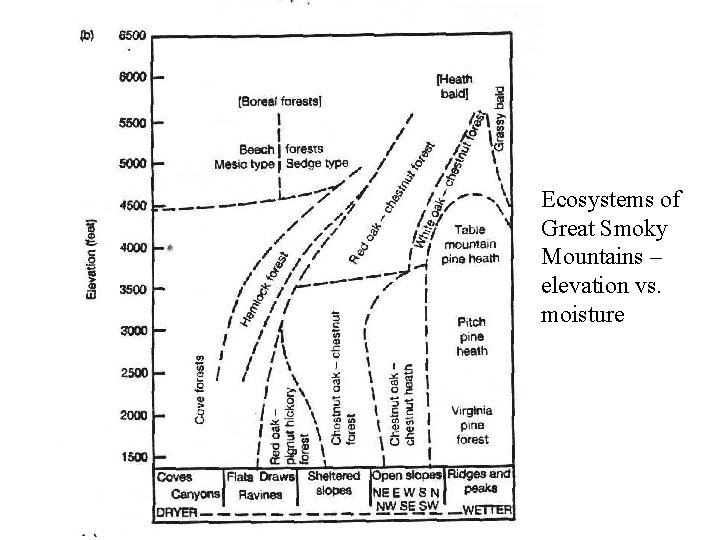 Ecosystems of Great Smoky Mountains – elevation vs. moisture 