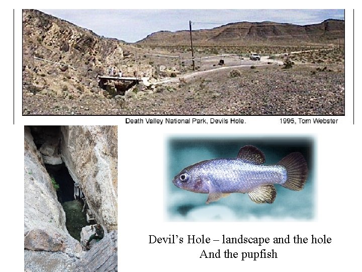 Devil’s Hole – landscape and the hole And the pupfish 