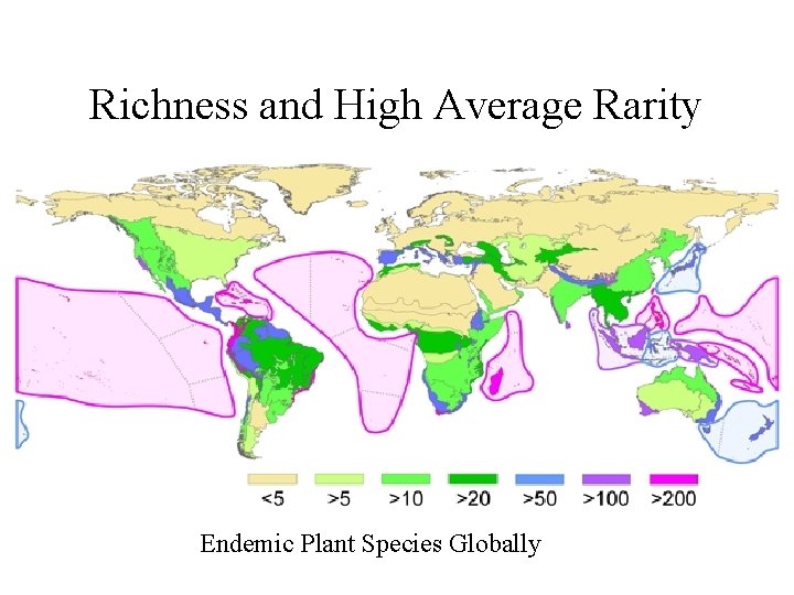 Richness and High Average Rarity Endemic Plant Species Globally 