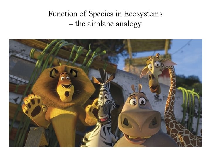 Function of Species in Ecosystems – the airplane analogy 