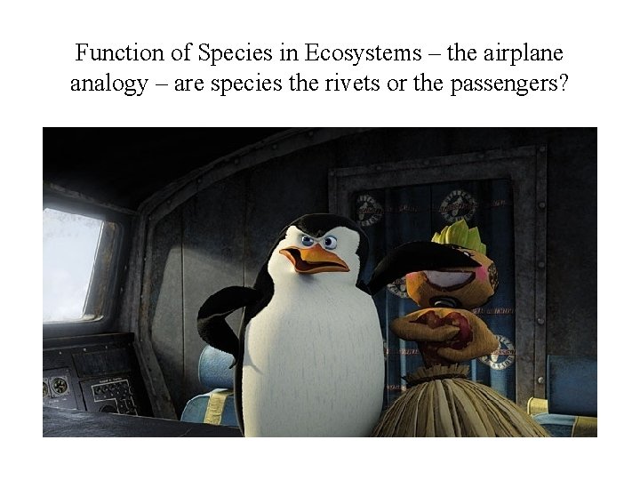 Function of Species in Ecosystems – the airplane analogy – are species the rivets