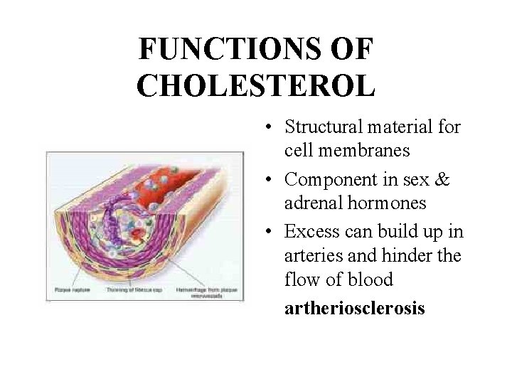 FUNCTIONS OF CHOLESTEROL • Structural material for cell membranes • Component in sex &