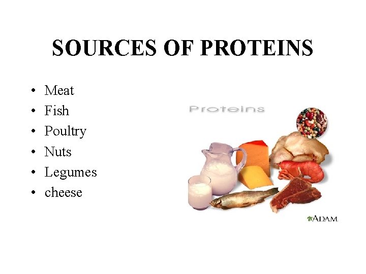 SOURCES OF PROTEINS • • • Meat Fish Poultry Nuts Legumes cheese 