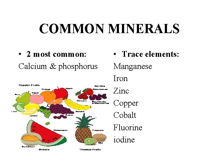 COMMON MINERALS • 2 most common: Calcium & phosphorus • Trace elements: Manganese Iron