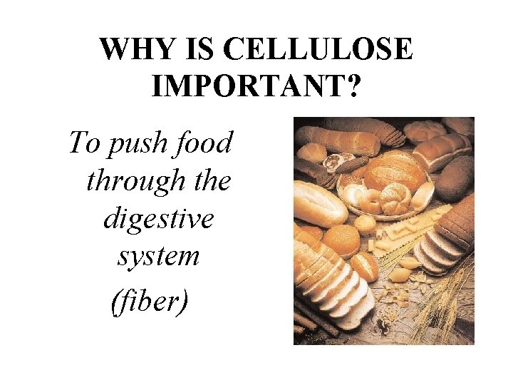WHY IS CELLULOSE IMPORTANT? To push food through the digestive system (fiber) 