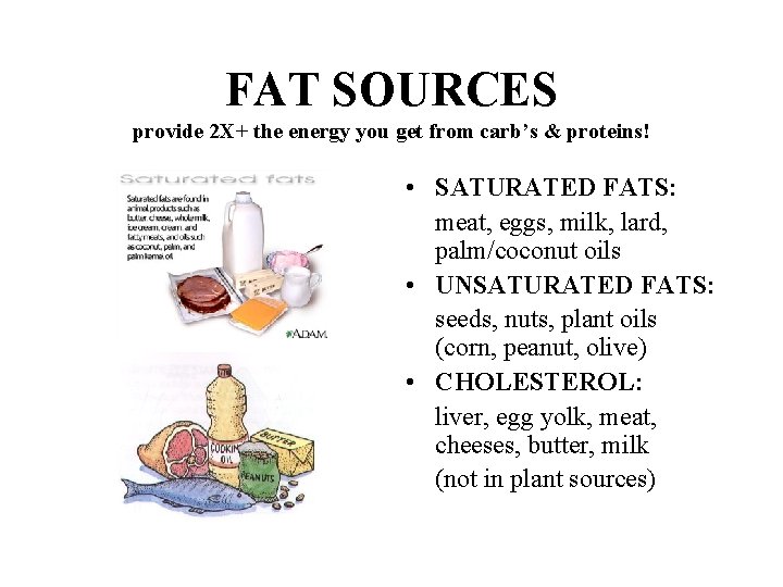 FAT SOURCES provide 2 X+ the energy you get from carb’s & proteins! •
