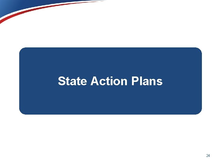 State Action Plans 24 