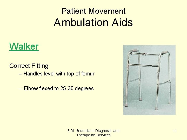 Patient Movement Ambulation Aids Walker Correct Fitting – Handles level with top of femur
