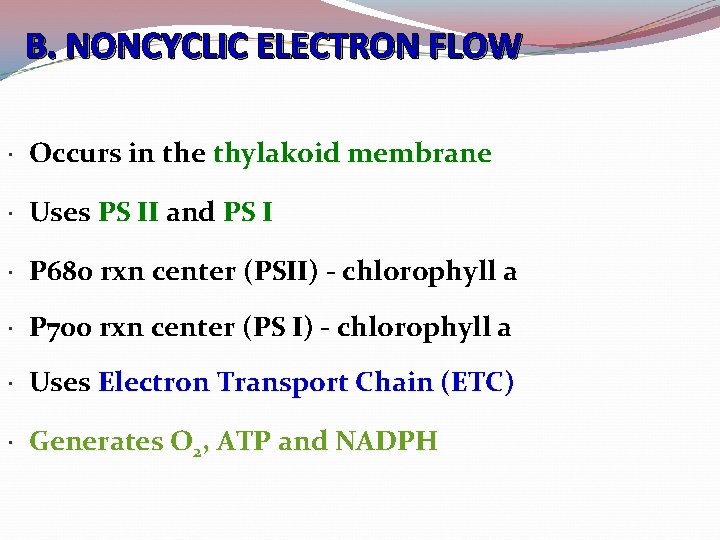 B. NONCYCLIC ELECTRON FLOW Occurs in the thylakoid membrane Uses PS II and PS