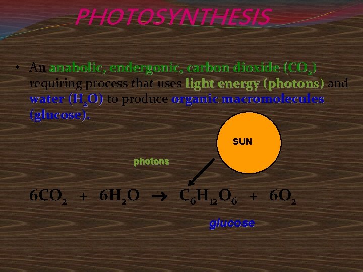 PHOTOSYNTHESIS • An anabolic, endergonic, carbon dioxide (CO 2) requiring process that uses light