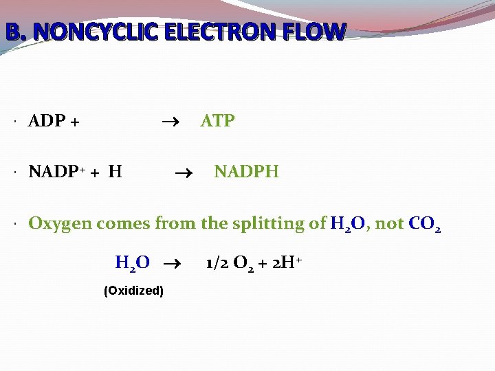 B. NONCYCLIC ELECTRON FLOW ADP + NADP+ + H Oxygen comes from the splitting