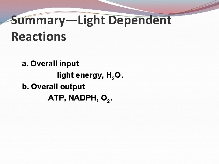 Summary—Light Dependent Reactions a. Overall input light energy, H 2 O. b. Overall output