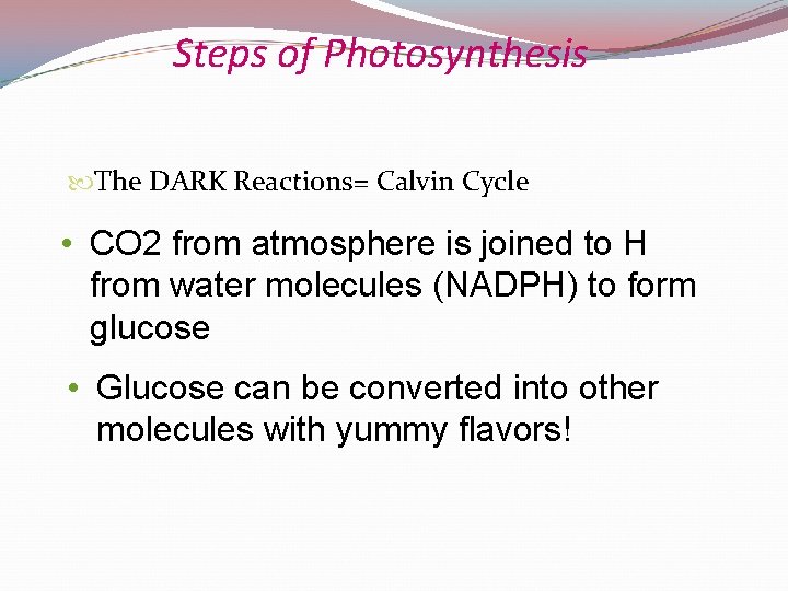 Steps of Photosynthesis The DARK Reactions= Calvin Cycle • CO 2 from atmosphere is