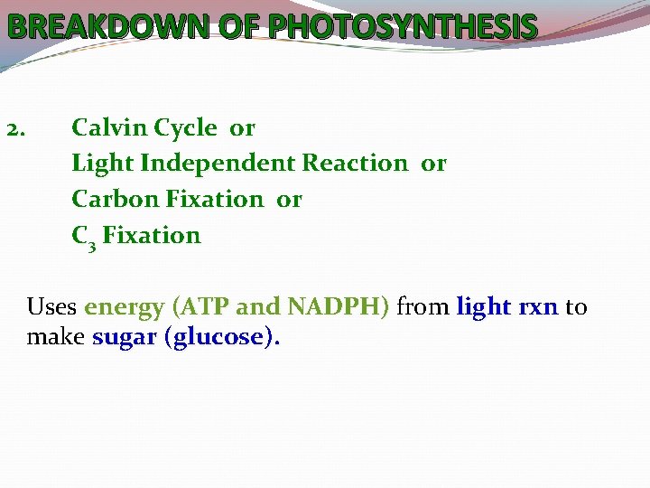 BREAKDOWN OF PHOTOSYNTHESIS 2. Calvin Cycle or Light Independent Reaction or Carbon Fixation or