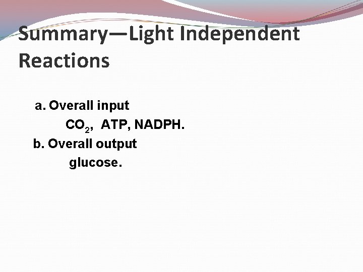 Summary—Light Independent Reactions a. Overall input CO 2, ATP, NADPH. b. Overall output glucose.