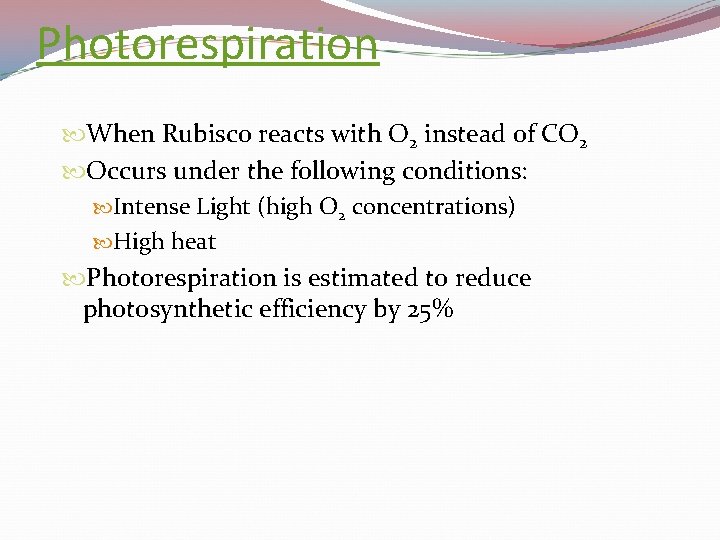 Photorespiration When Rubisco reacts with O 2 instead of CO 2 Occurs under the