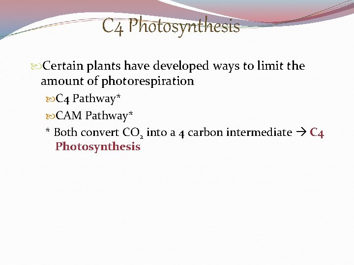 C 4 Photosynthesis Certain plants have developed ways to limit the amount of photorespiration