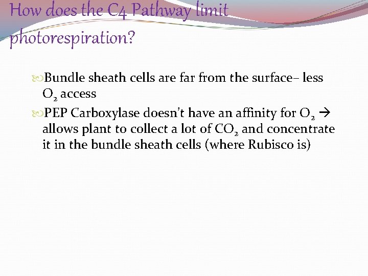 How does the C 4 Pathway limit photorespiration? Bundle sheath cells are far from
