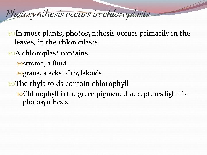 Photosynthesis occurs in chloroplasts In most plants, photosynthesis occurs primarily in the leaves, in