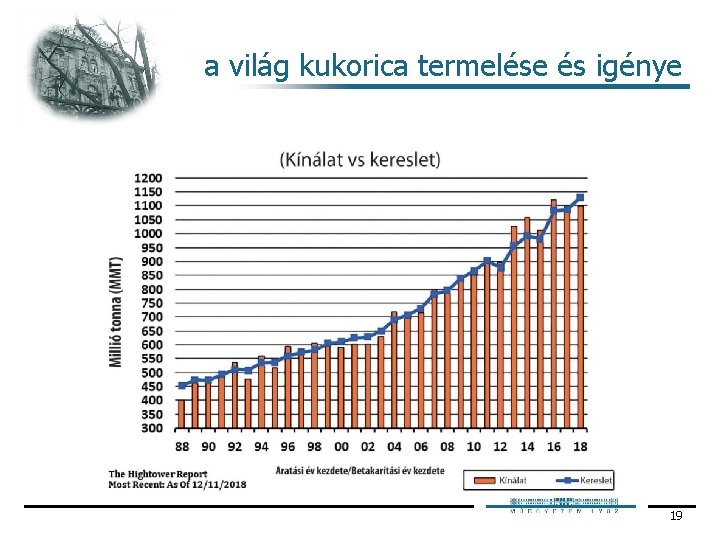 a világ kukorica termelése és igénye 19 