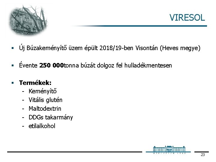 VIRESOL § Új Búzakeményítő üzem épült 2018/19 ben Visontán (Heves megye) § Évente 250