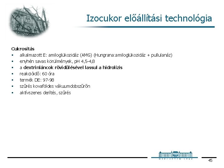 Izocukor előállítási technológia Cukrosítás § alkalmazott E: amiloglükozidáz (AMG) (Hungrana: amiloglükozidáz + pullulanáz) §