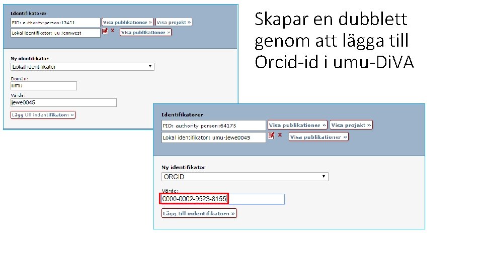 Skapar en dubblett genom att lägga till Orcid-id i umu-Di. VA 