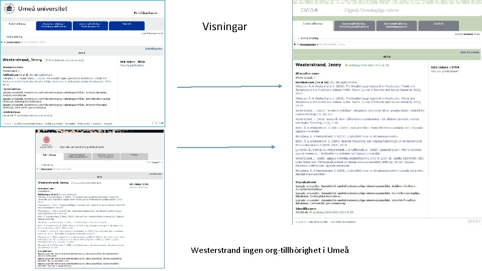 Visningar Westerstrand ingen org-tillhörighet i Umeå 