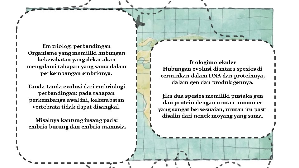 Embriologi perbandingan Organisme yang memiliki hubungan kekerabatan yang dekat akan mengalami tahapan yang sama