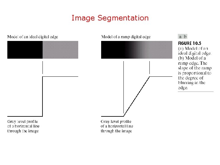 Image Segmentation 