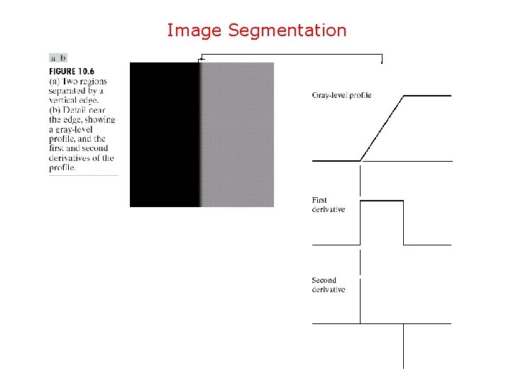 Image Segmentation 