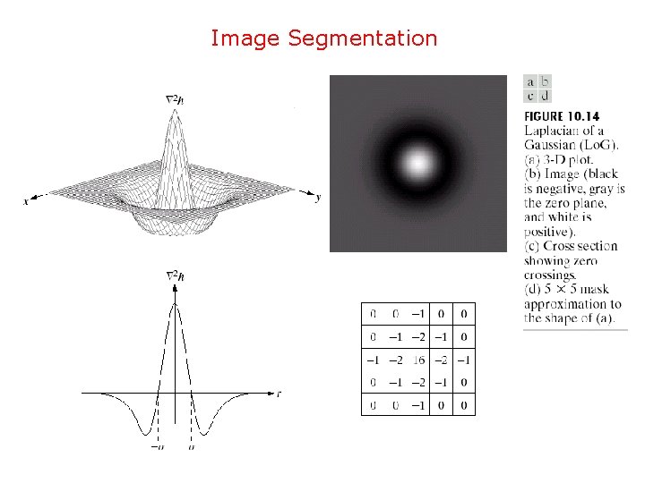 Image Segmentation 