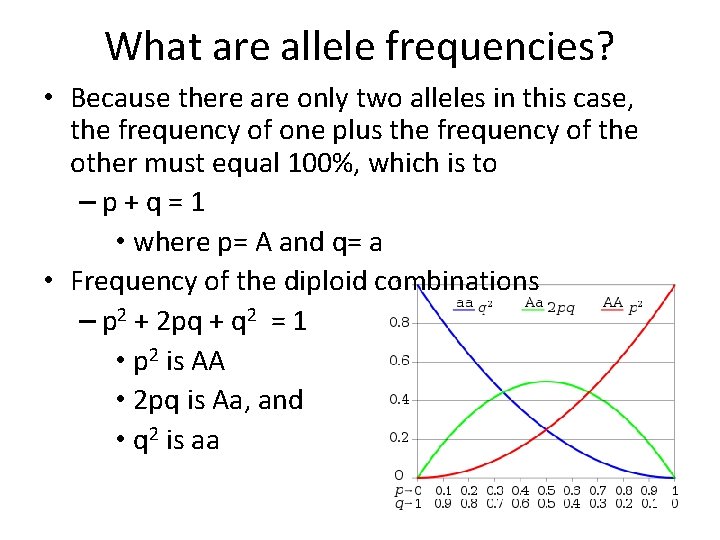 What are allele frequencies? • Because there are only two alleles in this case,