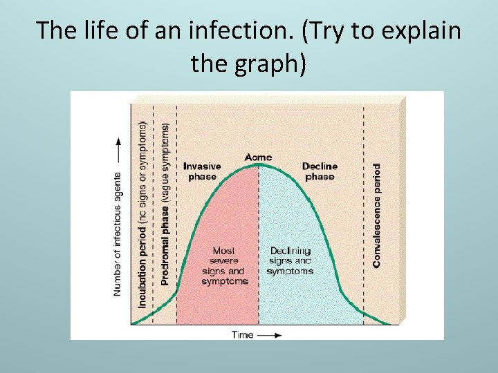 The life of an infection. (Try to explain the graph) 