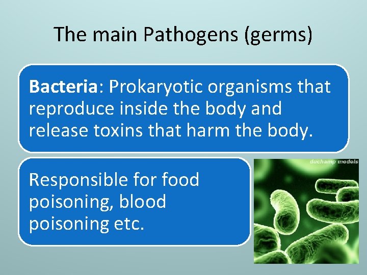 The main Pathogens (germs) Bacteria: Prokaryotic organisms that reproduce inside the body and release