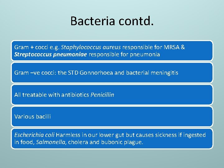 Bacteria contd. Gram + cocci e. g. Staphylococcus aureus responsible for MRSA & Streptococcus