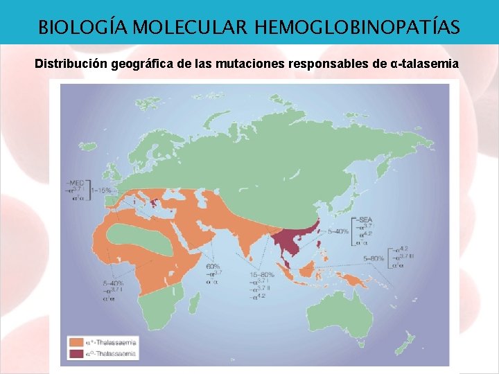 BIOLOGÍA MOLECULAR HEMOGLOBINOPATÍAS Distribución geográfica de las mutaciones responsables de α-talasemia 