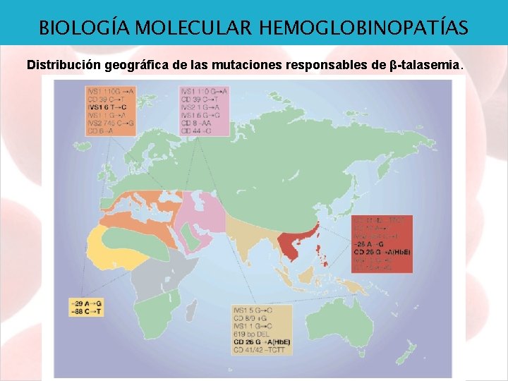 BIOLOGÍA MOLECULAR HEMOGLOBINOPATÍAS Distribución geográfica de las mutaciones responsables de β-talasemia. 
