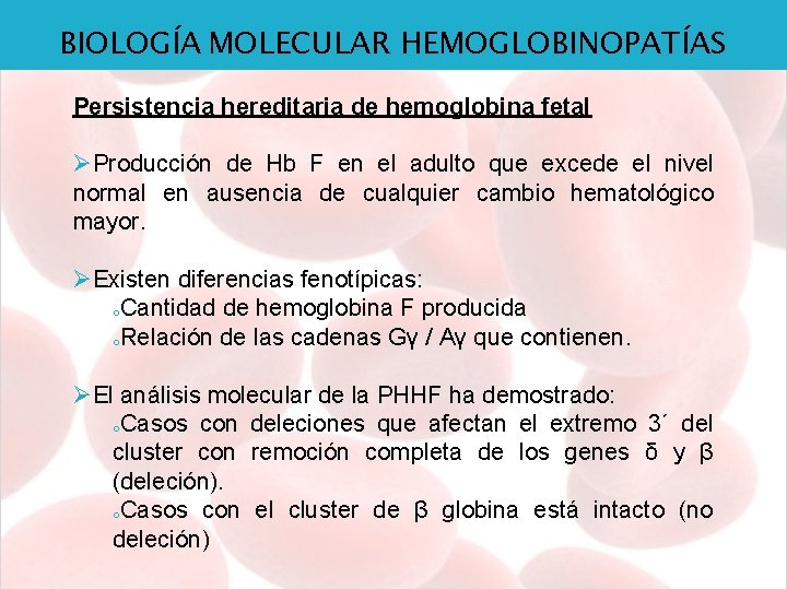 BIOLOGÍA MOLECULAR HEMOGLOBINOPATÍAS Persistencia hereditaria de hemoglobina fetal ØProducción de Hb F en el