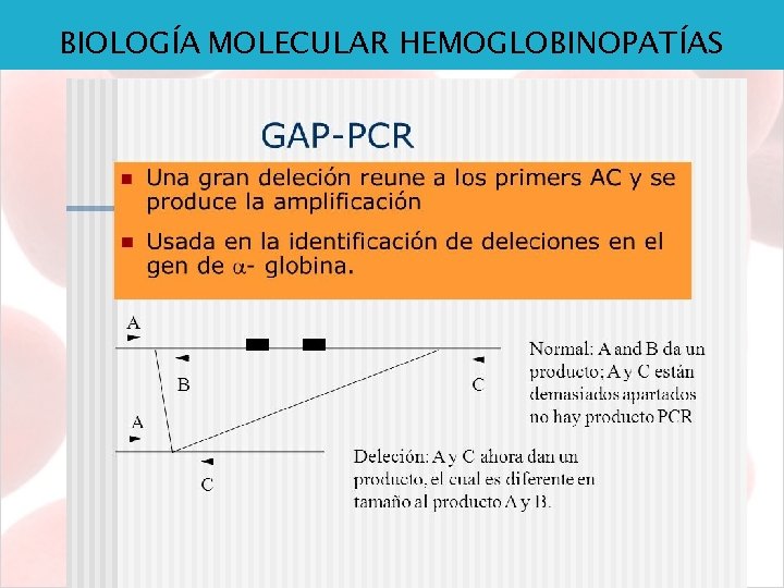 BIOLOGÍA MOLECULAR HEMOGLOBINOPATÍAS 