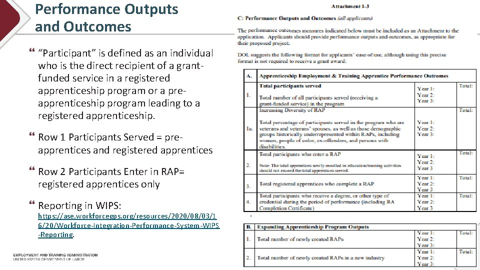 Performance Outputs and Outcomes “Participant” is defined as an individual who is the direct
