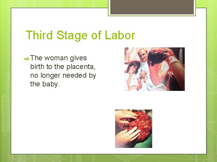 Third Stage of Labor The woman gives birth to the placenta, no longer needed