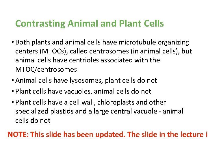 Contrasting Animal and Plant Cells • Both plants and animal cells have microtubule organizing Contrasting Animal and Plant Cells • Both plants and animal cells have microtubule organizing